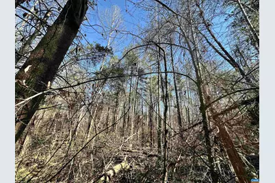 00 Indian Trace Trl #12, Unionville, VA 22567 - Photo 7