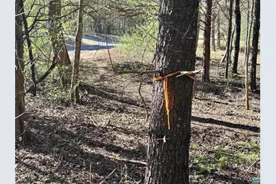 00 Indian Trace Trl #12, Unionville, VA 22567 - Photo 13