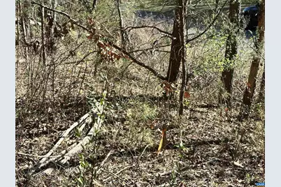 00 Indian Trace Trl #12, Unionville, VA 22567 - Photo 15