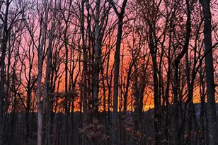 3006 Anoko Ct, Charlottesville, VA 22902 - Photo 47