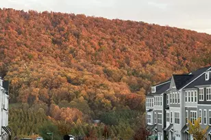 3006 Anoko Ct, Charlottesville, VA 22902 - Photo 5