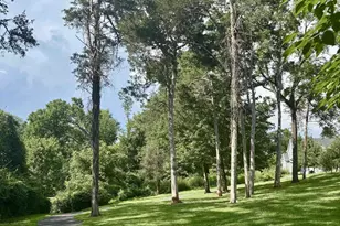 528 Trailside Dr, Charlottesville, VA 22911 - Photo 45