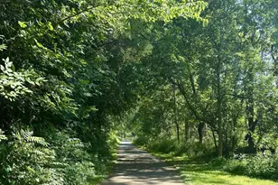 528 Trailside Dr, Charlottesville, VA 22911 - Photo 49