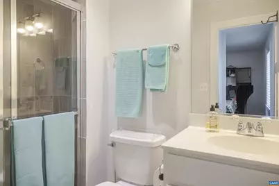 1311 Dabney Grv, Charlottesville, VA 22901 - Photo 45