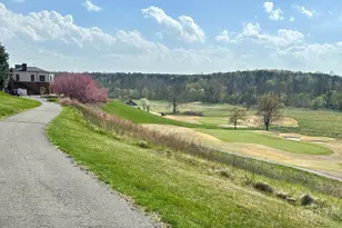 1680 Wellesley Knolls, Keswick, VA 22947 - Photo 59
