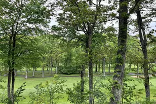 2052 Stone Ridge Condos, Wintergreen, VA 22967 - Photo 5