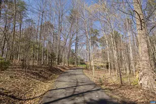 2708 Gray Fox Spur, Charlottesville, VA 22901 - Photo 47