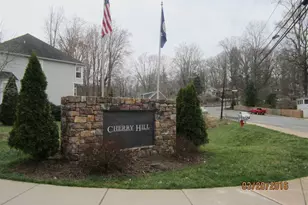 735 Rainier Rd, Charlottesville, VA 22903 - Photo 3