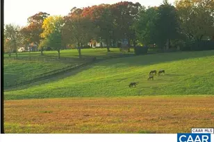 3606 Osprey Dr, Keswick, VA 22947 - Photo 53