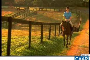 3606 Osprey Dr, Keswick, VA 22947 - Photo 55