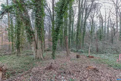 202 Raymond Ave #13, Charlottesville, VA 22903 - Photo 17