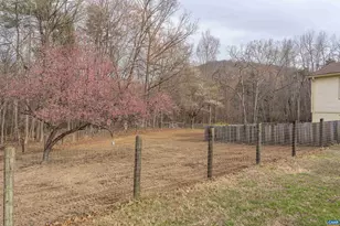 1810 Old Millers Mill Rd, Free Union, VA 22940 - Photo 33