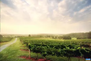 106 Brandywine Ct, Charlottesville, VA 22901 - Photo 45