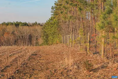 Tbd Courtenay Glen Way #25, Charlottesville, VA 22902 - Photo 25