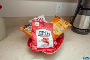 402 NE 13th St, Charlottesville, VA 22902 - Photo 15