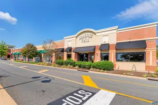 1033 Somer Chase Ct, Charlottesville, VA 22911 - Photo 51