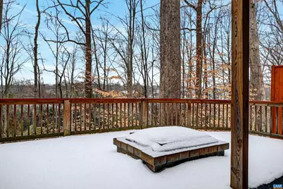 102 Slate Pl, Charlottesville, VA 22902 - Photo 43