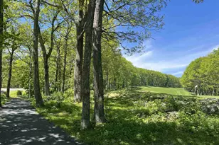 1808 High Ridge Ct Condos, Wintergreen Resort, VA 22967 - Photo 27