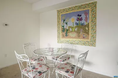 116 Turtle Creek Rd #11, Charlottesville, VA 22901 - Photo 7