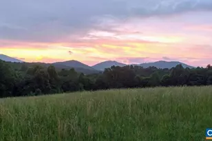 165 Tucker Spencer Trail, Faber, VA 22938 - Photo 3