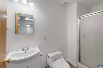 617 Davis Ave, Charlottesville, VA 22901 - Photo 39