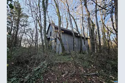 1 Ac Physic Spring Rd #4, Dillwyn, VA 23936 - Photo 5