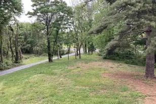 14150 James River Rd, Lovingston, VA 22949 - Photo 5