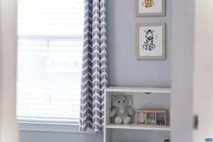 239 Pebble Beach court, Charlottesville, VA 22901 - Photo 39