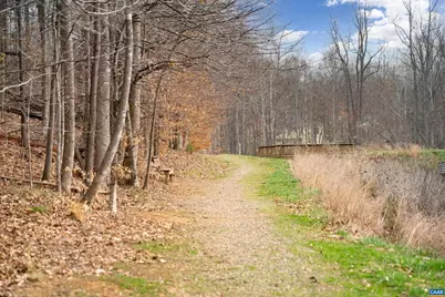 239 Pebble Beach Ct, Charlottesville, VA 22901 - Photo 51