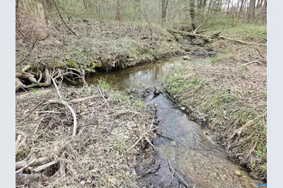 83.84 Ac S James River Rd, Buckingham, VA 23921 - Photo 13