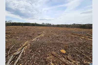 83.84 Ac S James River Rd, Buckingham, VA 23921 - Photo 7