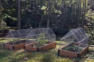 409 Westmoreland Ct, Charlottesville, VA 22901 - Photo 45