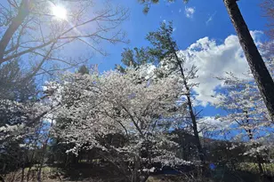 128 Rockfish Orchard Dr, Afton, VA 22920 - Photo 31