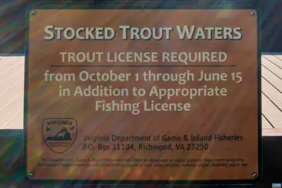 4190 Luxor Terrace Dr, Charlottesville, VA 22901 - Photo 75