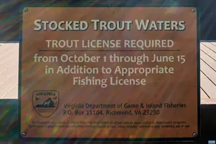 4190 Luxor Terrace Dr, Charlottesville, VA 22901 - Photo 75