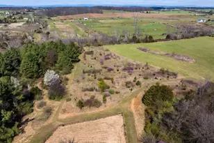 1732 Hermitage Rd, Waynesboro, VA 22980 - Photo 49