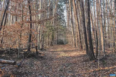 42 Shadwell Rd, Keswick, VA 22947 - Photo 49