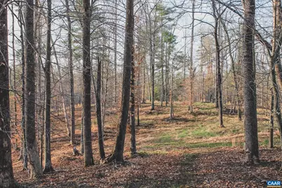 42 Shadwell Rd, Keswick, VA 22947 - Photo 45