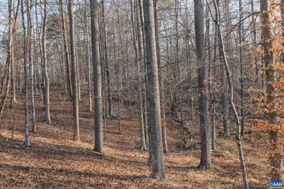 42 Shadwell Rd, Keswick, VA 22947 - Photo 57