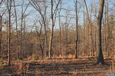 42 Shadwell Rd, Keswick, VA 22947 - Photo 69