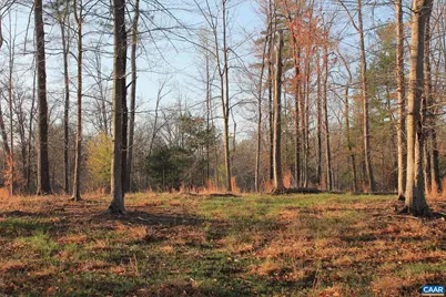 42 Shadwell Rd, Keswick, VA 22947 - Photo 43