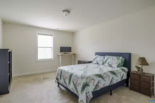 336 Bishopgate Ln, Crozet, VA 22932 - Photo 39