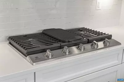 5113 Mary Jackson Ct, Charlottesville, VA 22902 - Photo 21