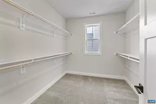 5113 Mary Jackson Ct, Charlottesville, VA 22902 - Photo 37