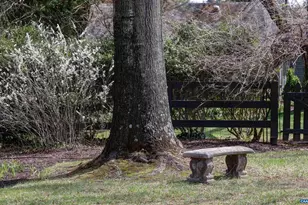 5450 Stony Point Pass, Keswick, VA 22947 - Photo 67