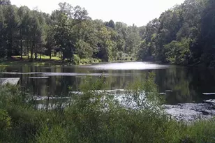 136 Goldenrod Ct, Charlottesville, VA 22902 - Photo 27