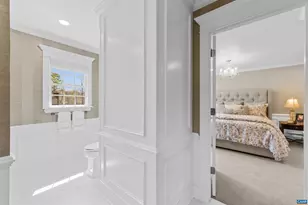 155 Ivy Ridge Rd, Charlottesville, VA 22901 - Photo 33