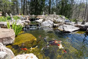 155 Ivy Ridge Rd, Charlottesville, VA 22901 - Photo 9