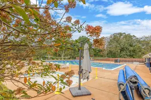 821 Cole St, Charlottesville, VA 22901 - Photo 59