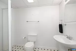 1294 Millpond Rd, Charlottesville, VA 22902 - Photo 17